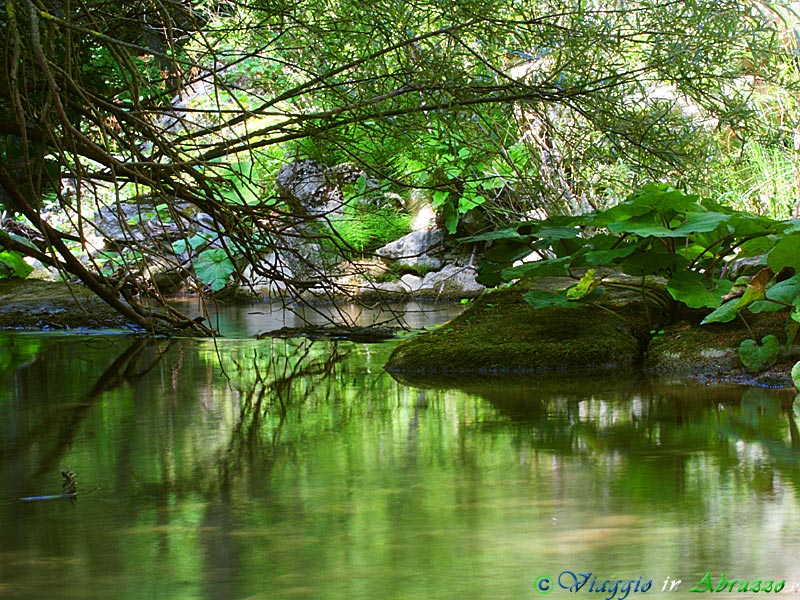 18-IMG_3738+.jpg - 18-IMG_3738+.jpg - Un incantevole angolo del torrente Rio Verde all'interno della Riserva.