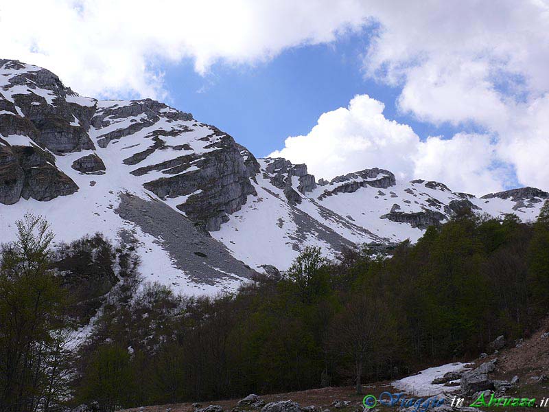 24_P1020831+.jpg - 24_P1020831+.jpg - Monti del Parco Nazionale d'Abruzzo, Lazio e Molise.