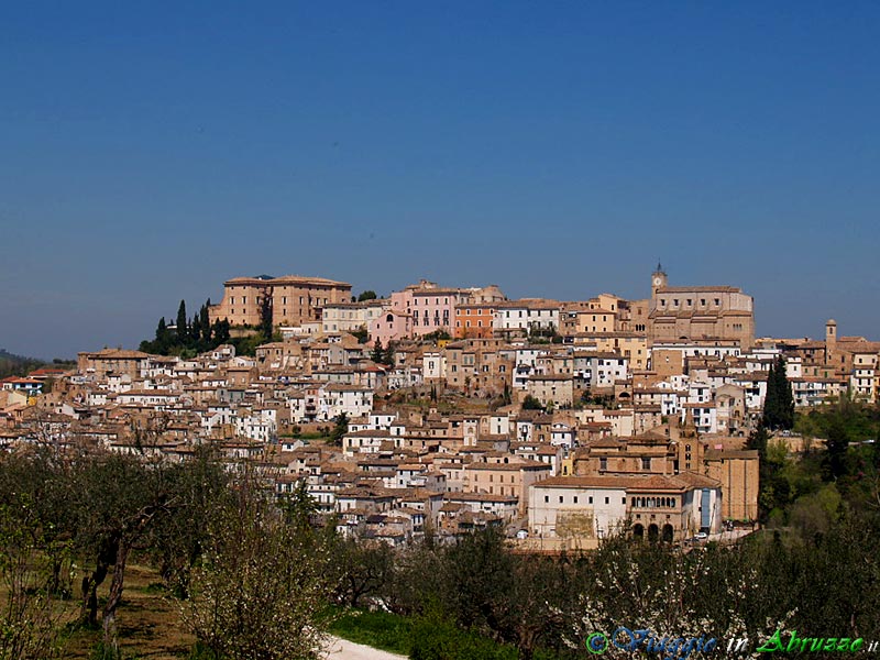 14-P4083818+.jpg - 14-P4083818+.jpg - Panorama di Loreto Aprutino, uno delle località abruzzesi più note per la produzione di olio extravergine di oliva.